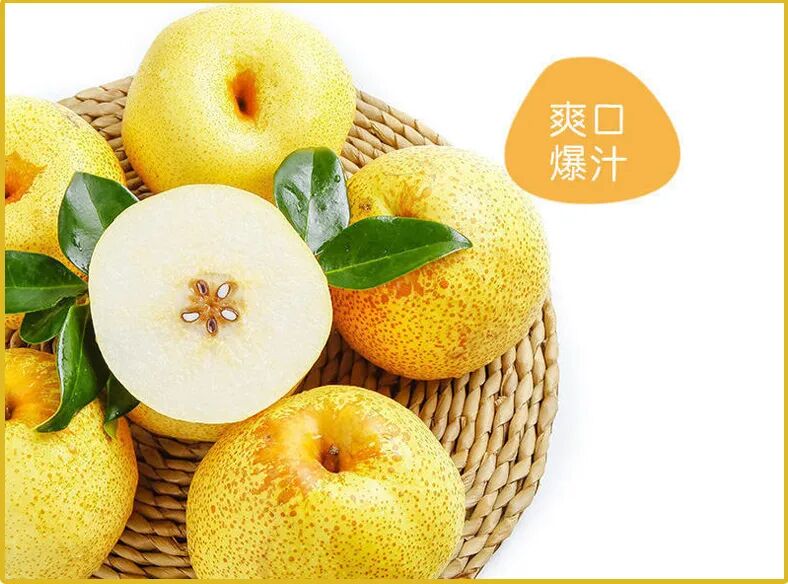 原平市:酥梨锅魁誉三晋 小米紫蒜走四方